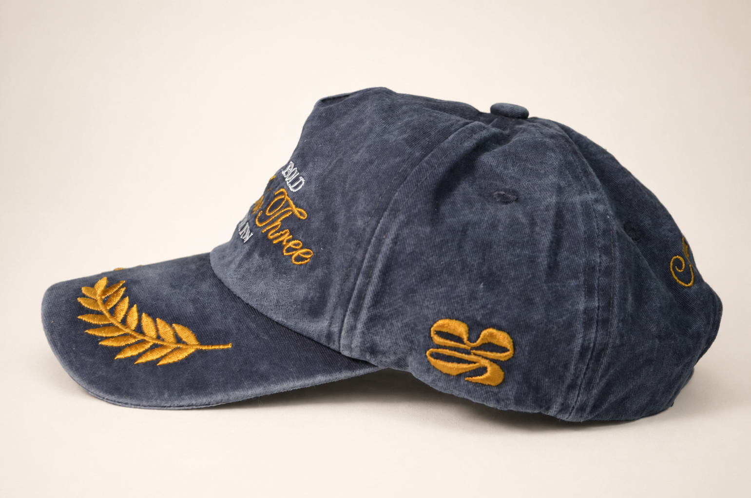 Bold Denim Cap